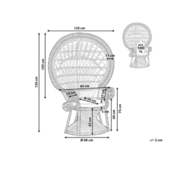 Beliani Fauteuil EMMANUELLE - Zwart Rotan -Puur Woood Winkel 0ee7c2c134074a0f8bcbb76e7e30c91e