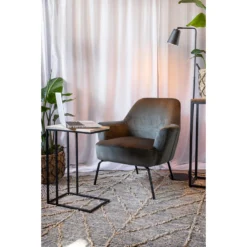 Fauteuil Hamburg - Fluweel - Groen -Puur Woood Winkel sf 10207456 1010